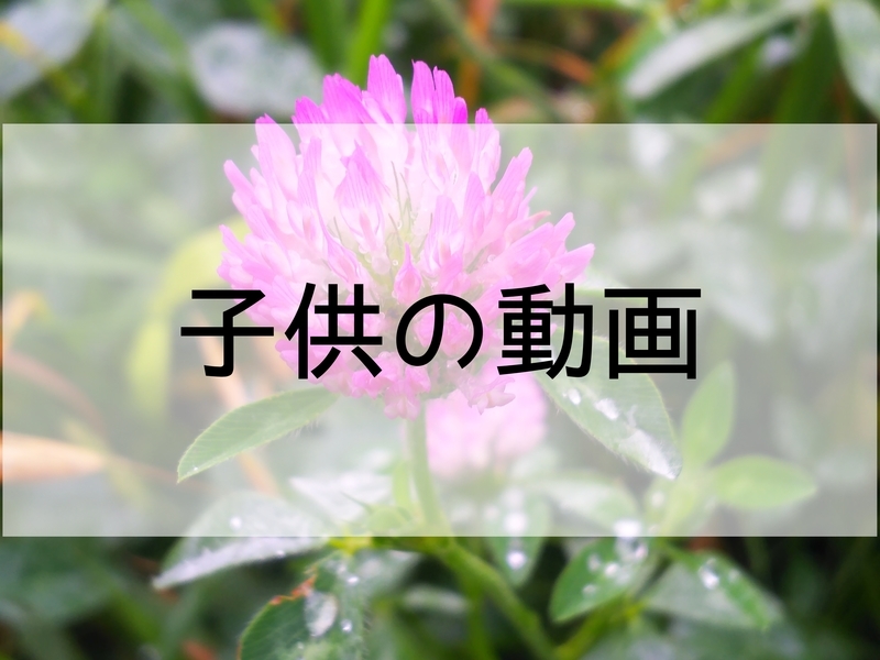 f:id:milestone0123:20210625220316j:plain