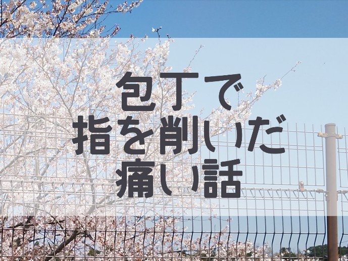 f:id:milestone0123:20210707223418j:plain