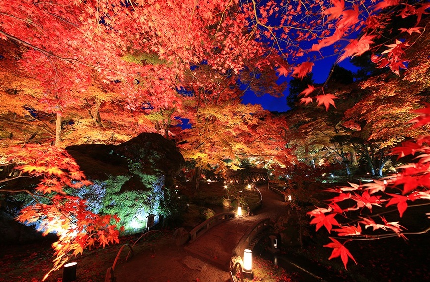 f:id:miletraveling:20180910130218j:plain f:id:miletraveling:20180910130218j:plain