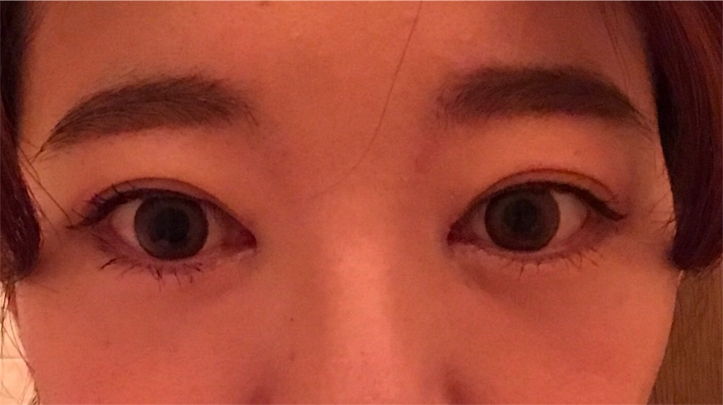 f:id:milfychan:20171216105838j:image