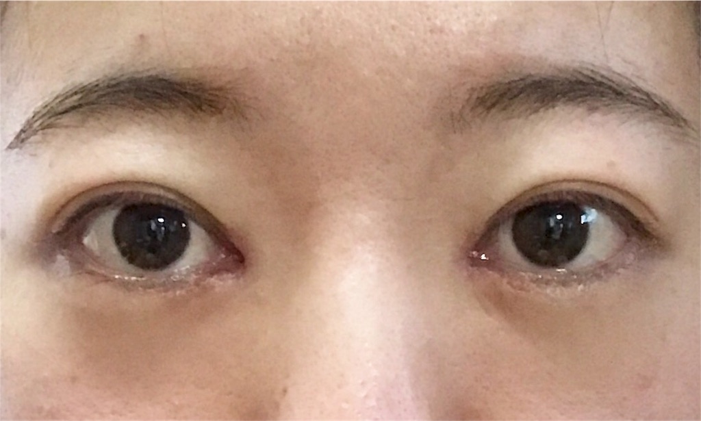 f:id:milfychan:20171228183933j:plain