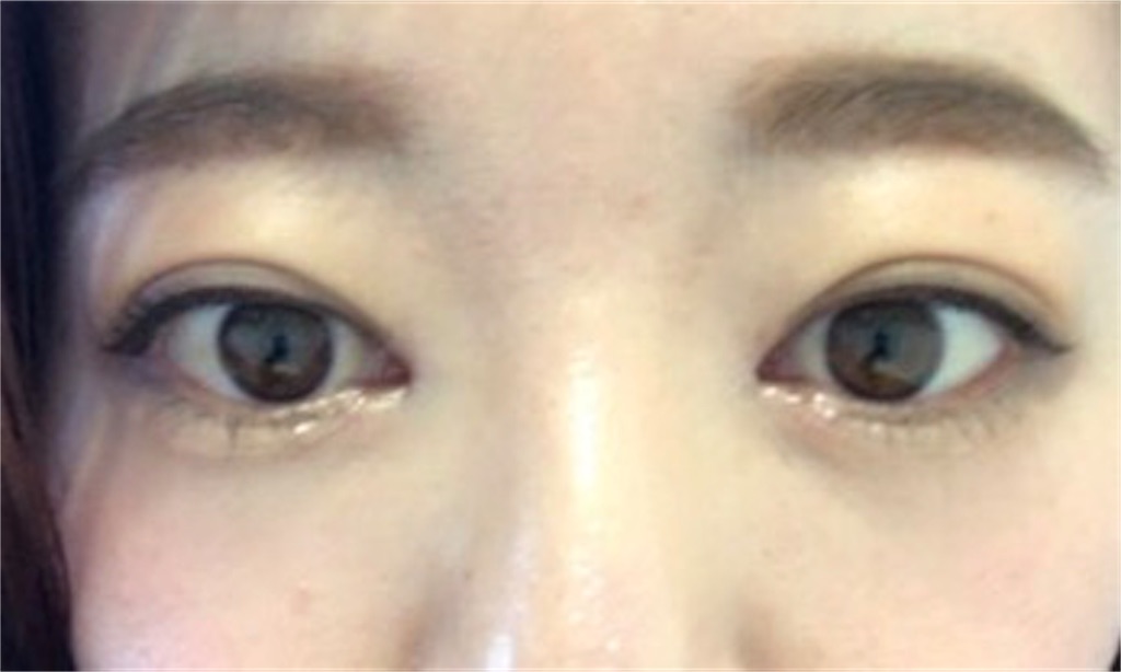 f:id:milfychan:20171228184104j:plain