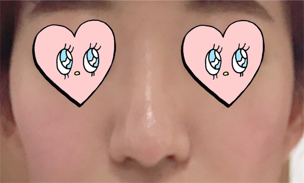 f:id:milfychan:20180105222115j:plain