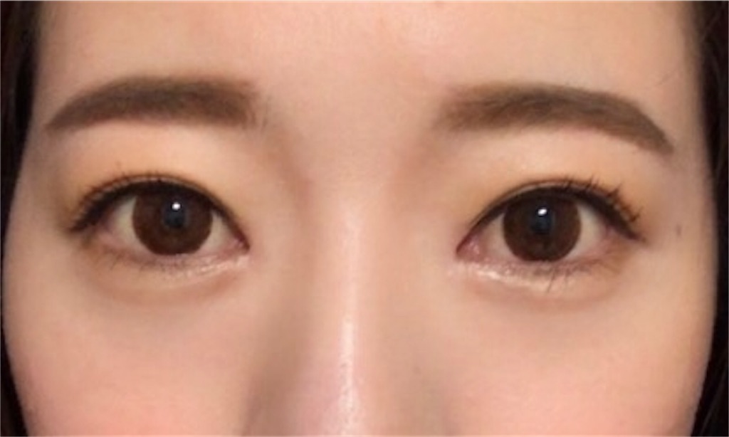 f:id:milfychan:20180105222134j:plain