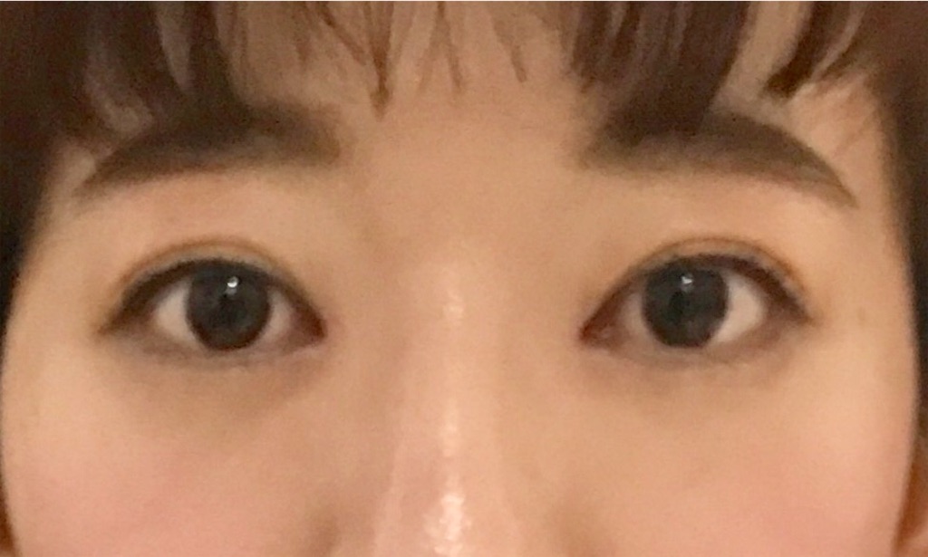 f:id:milfychan:20180105222156j:plain