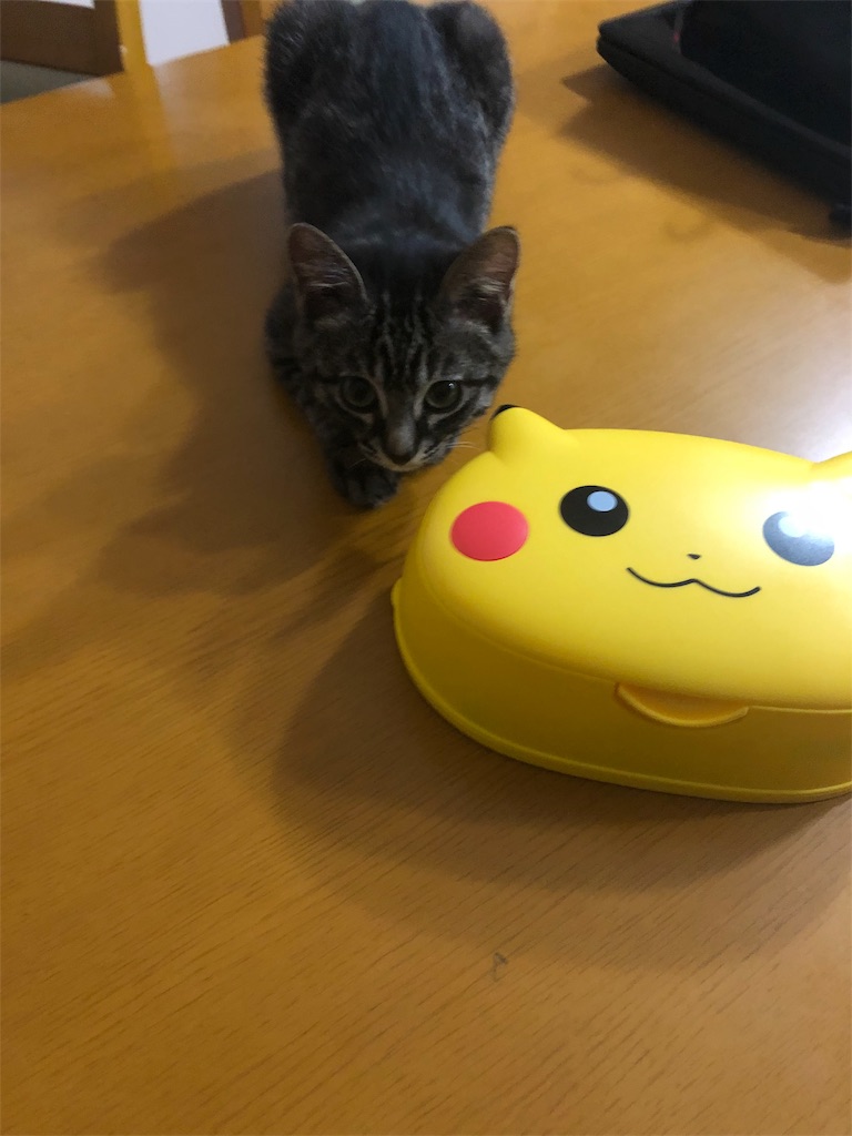 f:id:milk00mow:20190909214909j:image