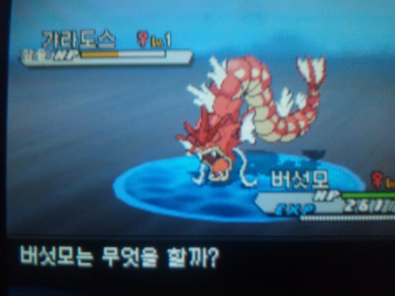 主釣り乱数 Bw2lv1ギャラドス ミルクの日記