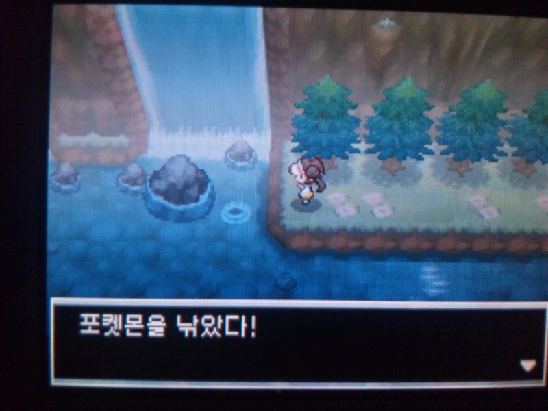 主釣り乱数 Bw2lv1ギャラドス ミルクの日記