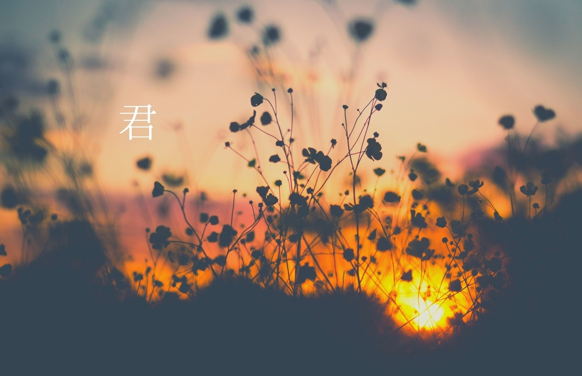 f:id:milk_tea_oka:20210702140129j:plain
