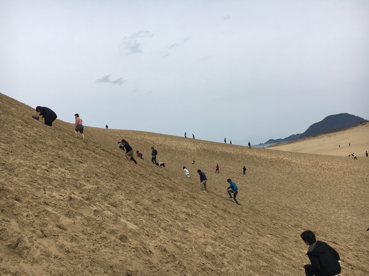 f:id:milkcha:20190601210049j:plain