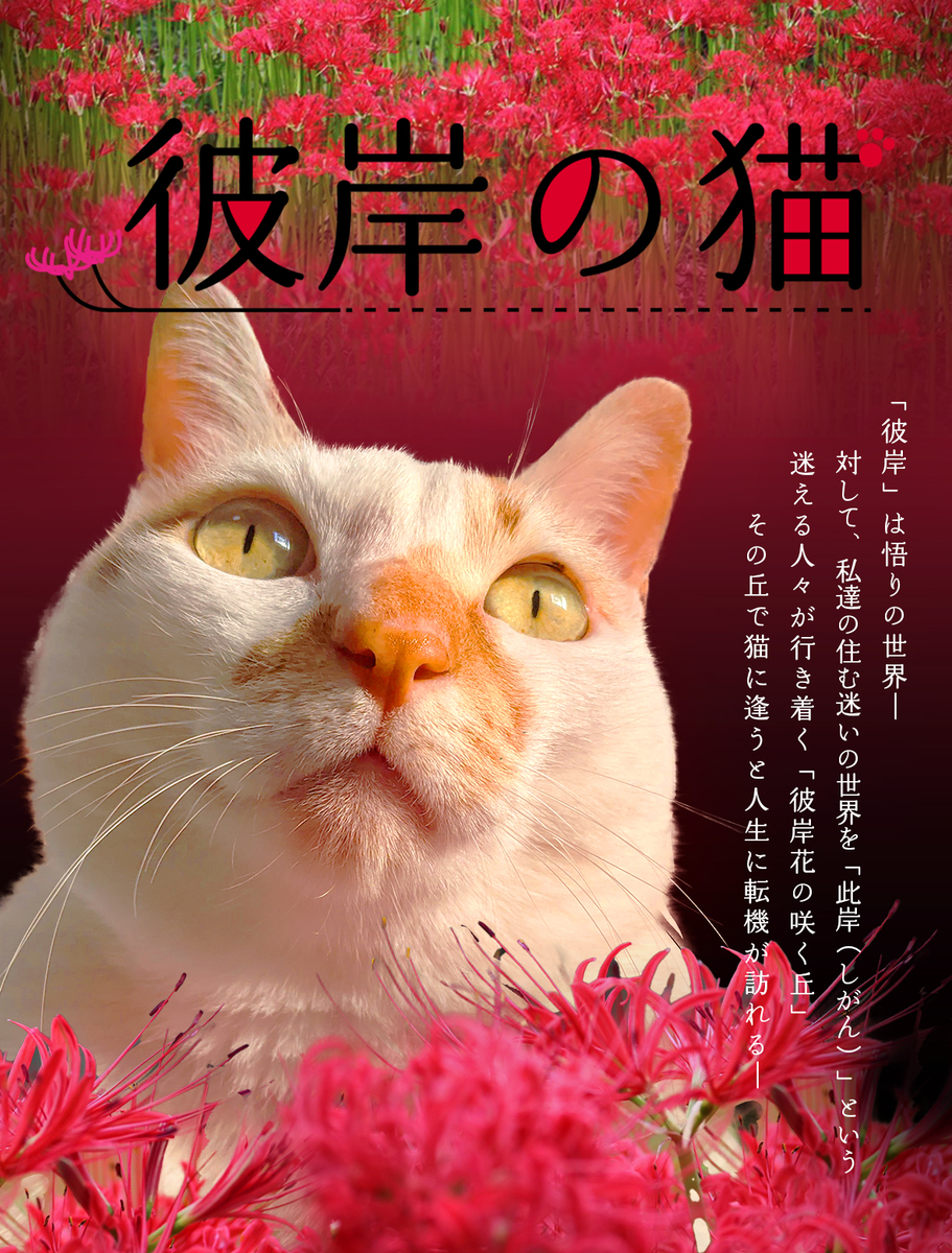100日チャレンジ 画像編集 94日目 こつこつ