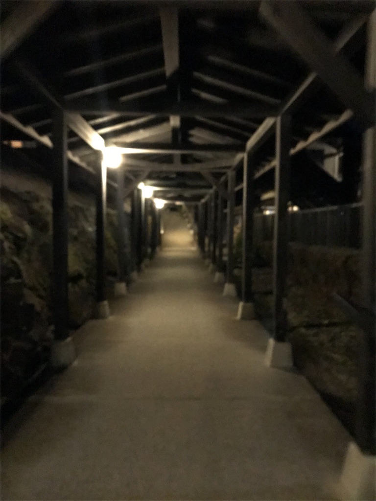 f:id:milkkids:20190127161411j:image