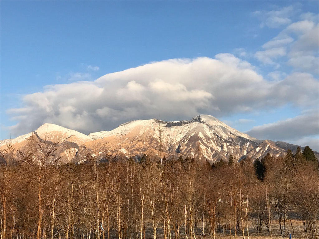 f:id:milkkids:20190127170720j:image f:id:milkkids:20190127170720j:image