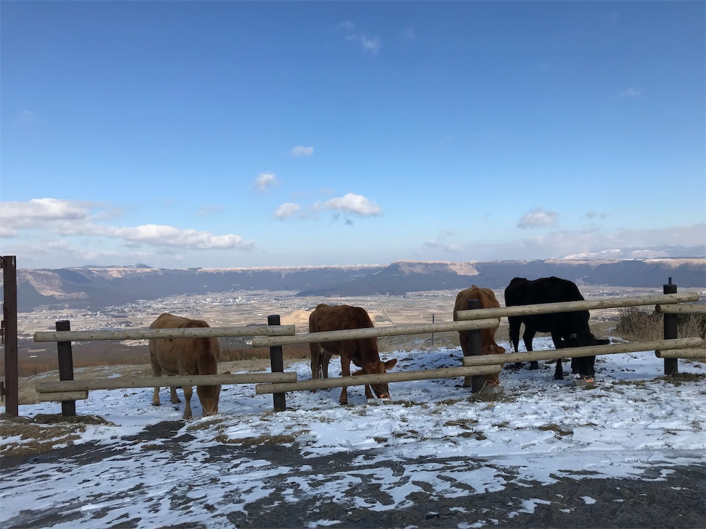 f:id:milkkids:20190127171845j:image f:id:milkkids:20190127171845j:image