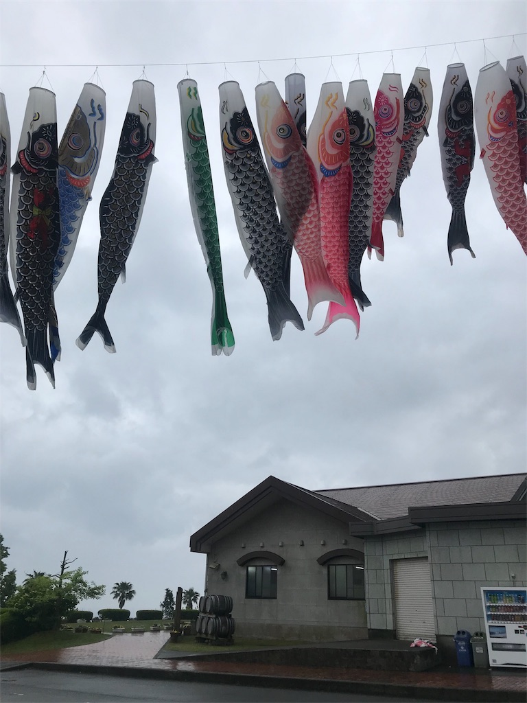 f:id:milkkids:20190510175212j:image