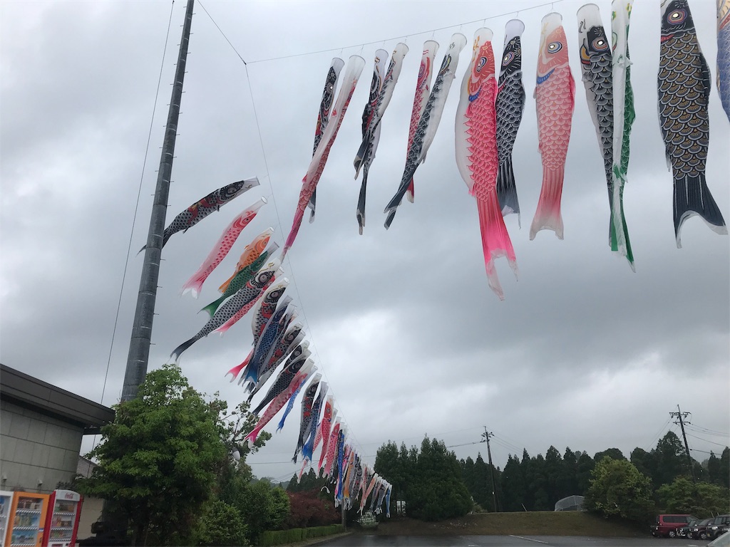 f:id:milkkids:20190510175223j:image
