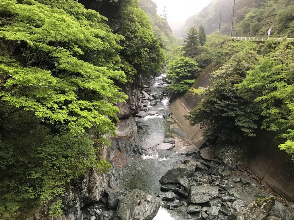 f:id:milkkids:20190512223126j:image
