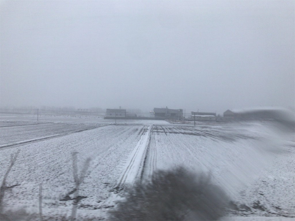 f:id:milkkids:20190603192430j:image
