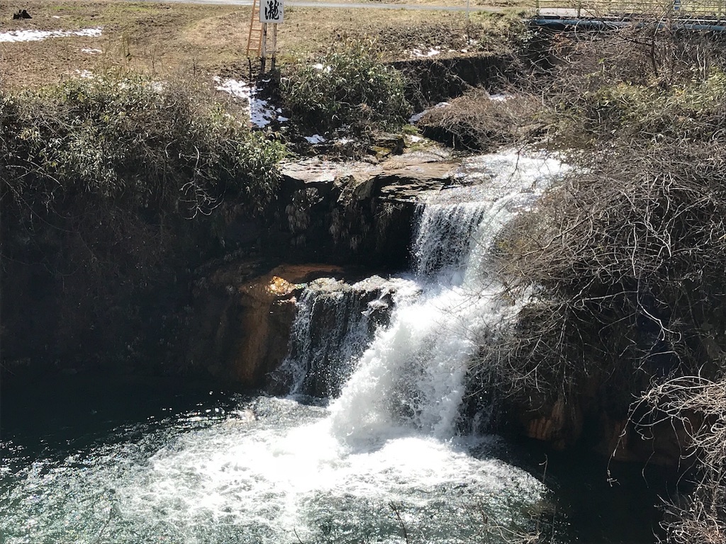 f:id:milkkids:20190604170822j:image