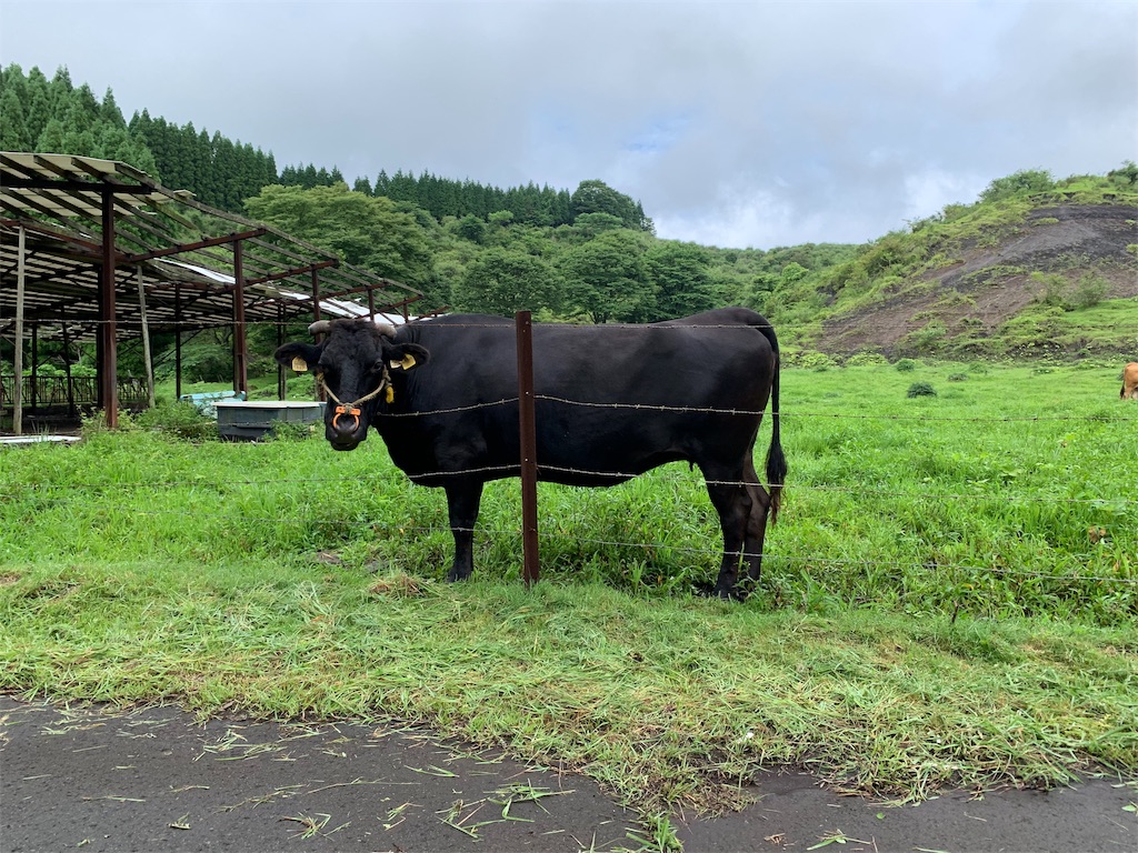 f:id:milkkids:20190715201118j:image