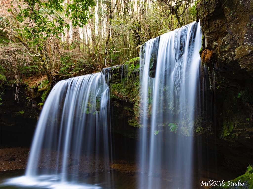 f:id:milkkids:20200120210045j:image
