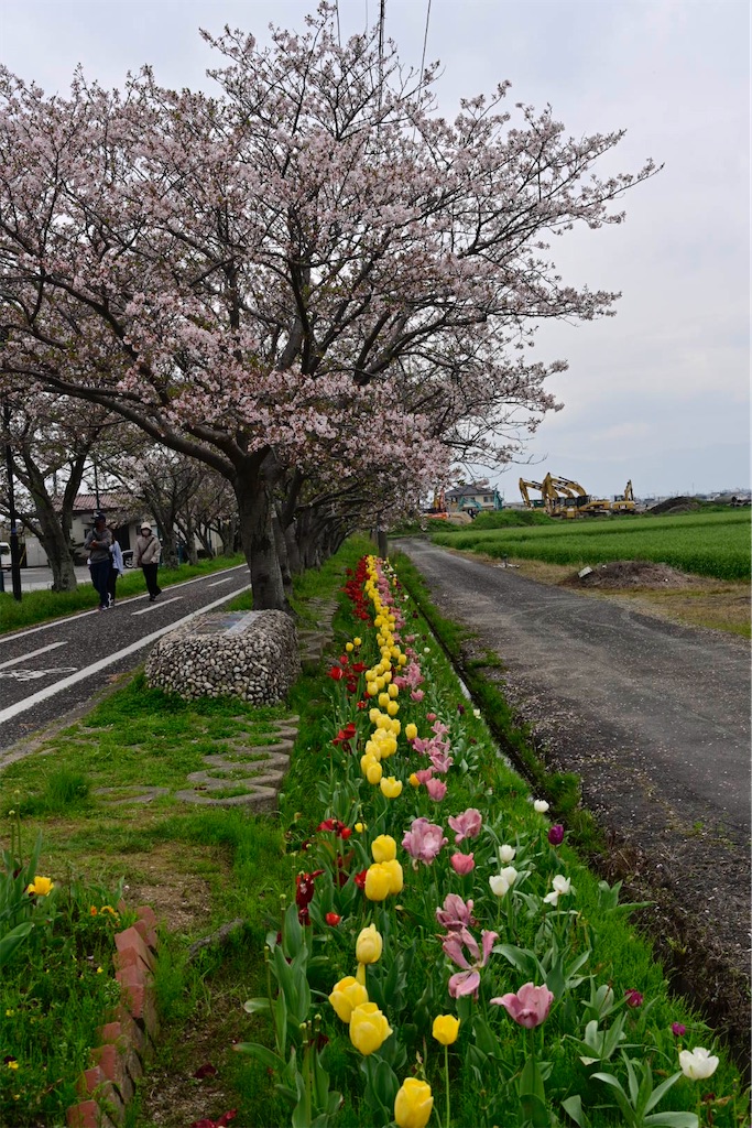 f:id:milkkids:20240416211132j:image f:id:milkkids:20240416211132j:image