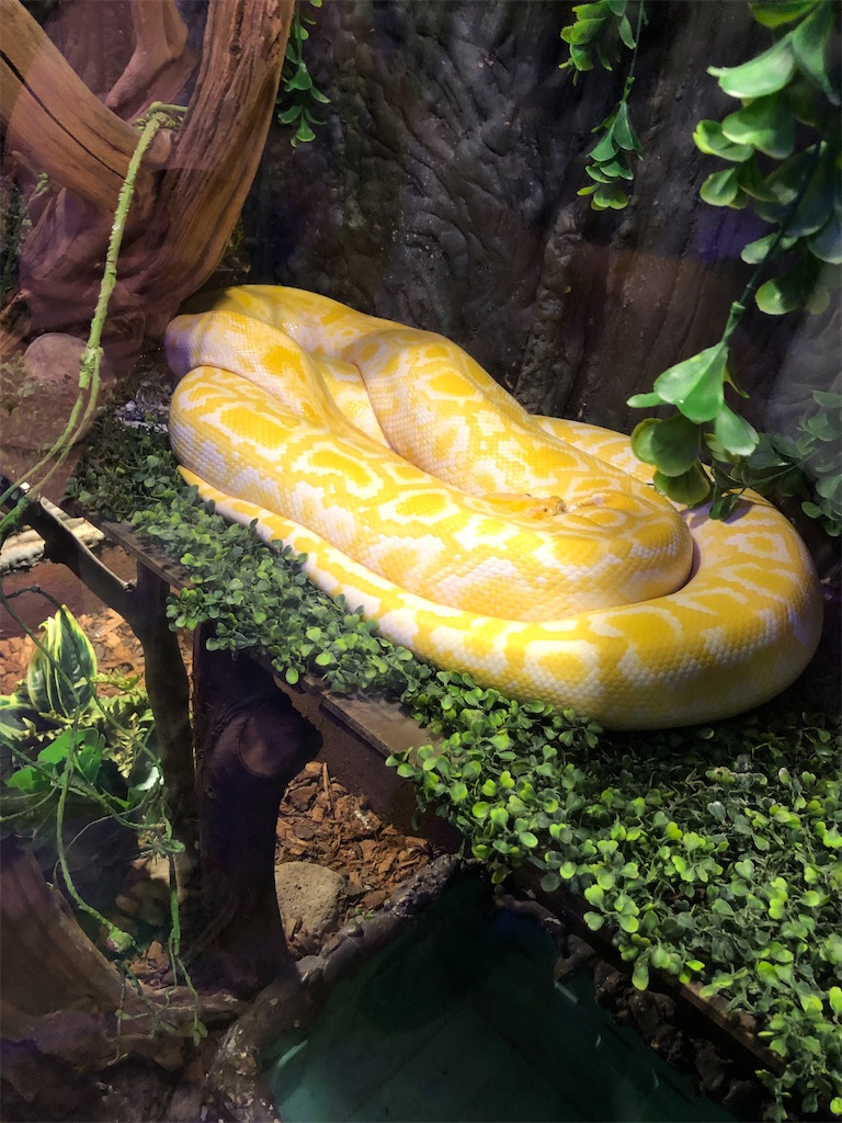 f:id:milkmexico:20230807121446j:image