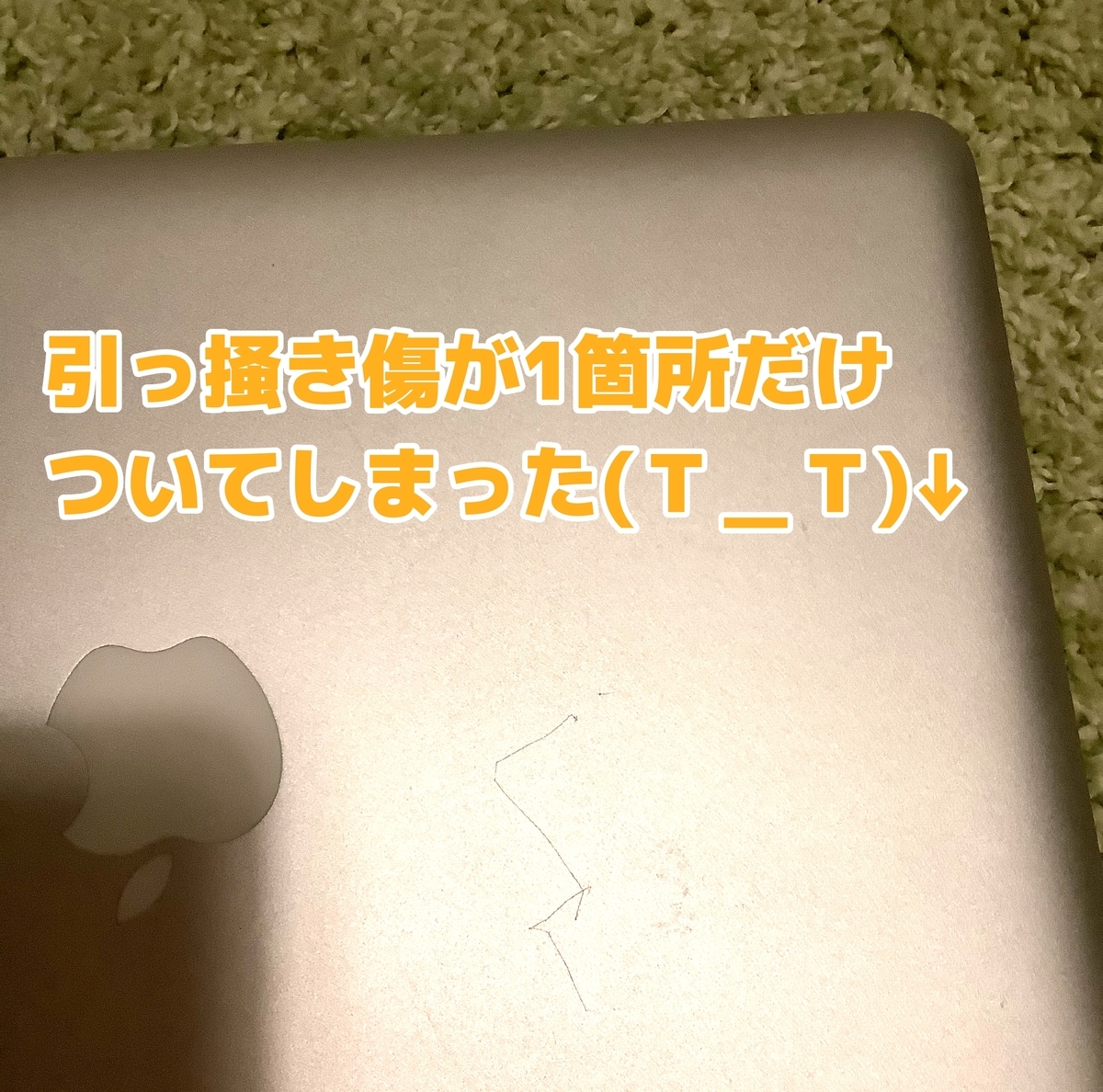 f:id:milkmol:20211231194643j:plain