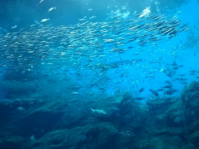 f:id:milkmooncake:20151103155325p:plain