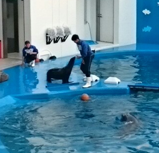 f:id:milkmooncake:20151103161214p:plain