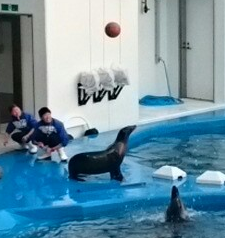 f:id:milkmooncake:20151103161256p:plain