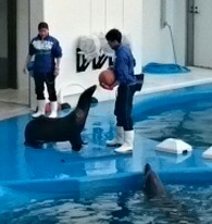 f:id:milkmooncake:20151103161331p:plain