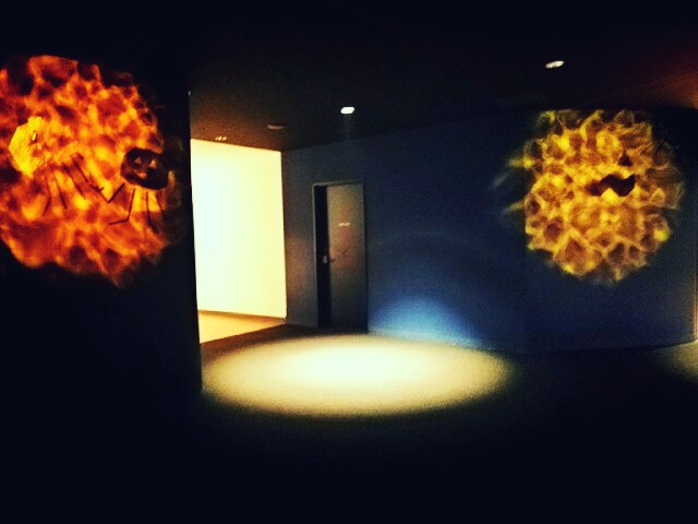 f:id:milkmooncake:20151103161910p:plain