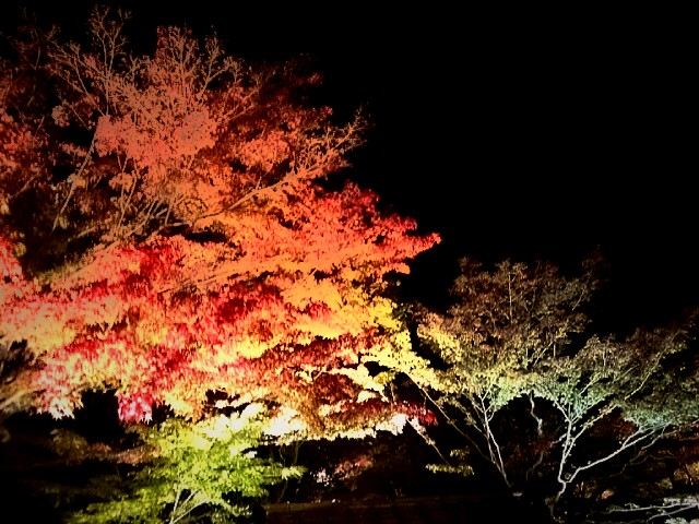 f:id:milkmooncake:20151106225131p:plain