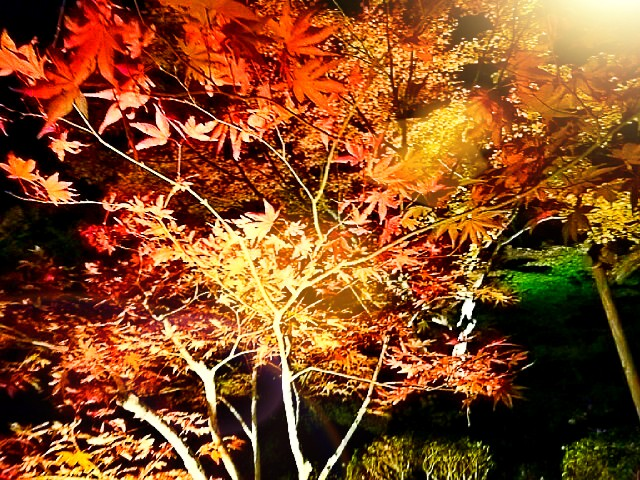 f:id:milkmooncake:20151106230952p:plain