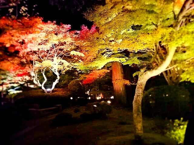 f:id:milkmooncake:20151106231025p:plain