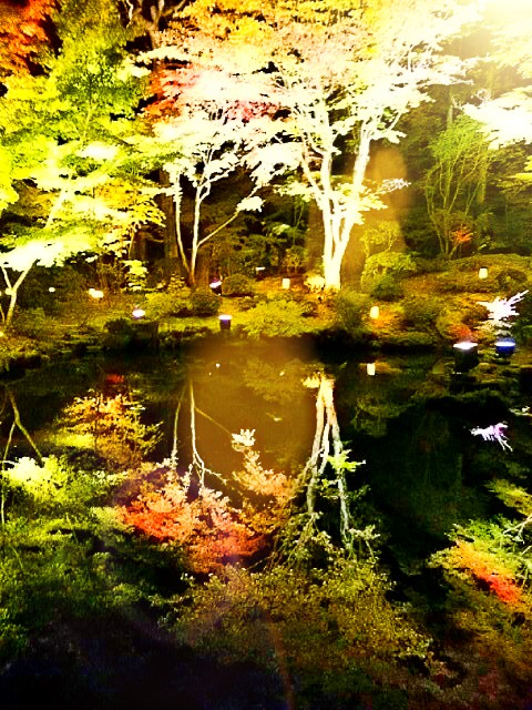 f:id:milkmooncake:20151106231053p:plain