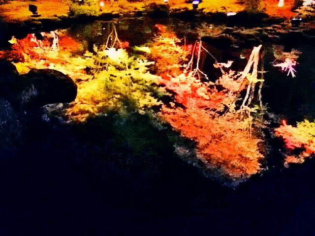 f:id:milkmooncake:20151106231219p:plain