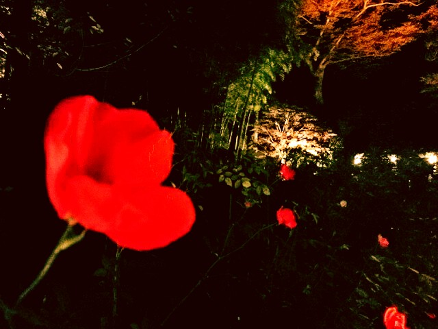 f:id:milkmooncake:20151106231447p:plain