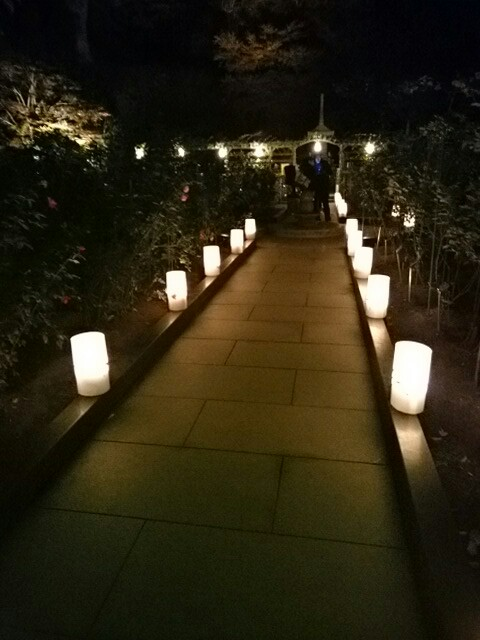 f:id:milkmooncake:20151106232113p:plain