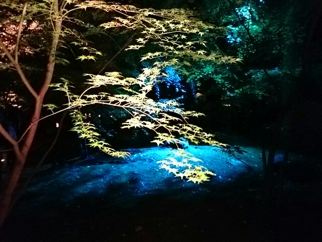 f:id:milkmooncake:20151106232257p:plain