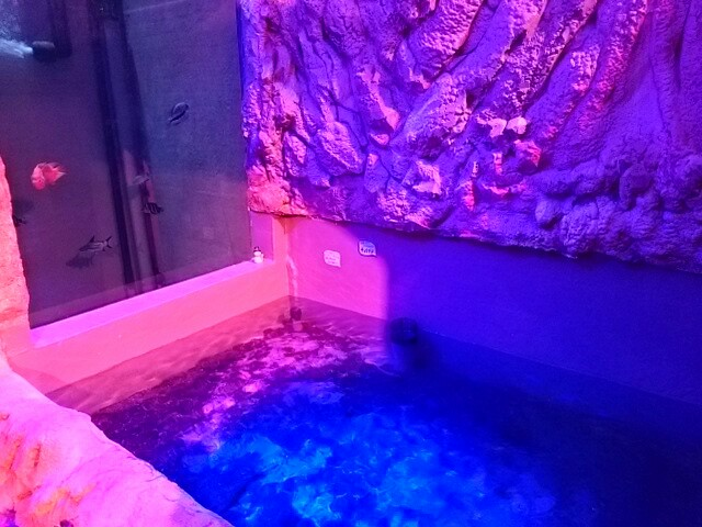 f:id:milkmooncake:20151128174623p:plain f:id:milkmooncake:20151128174623p:plain