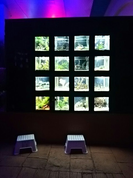 f:id:milkmooncake:20151128174830p:plain f:id:milkmooncake:20151128174830p:plain