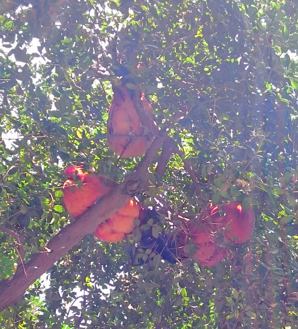 f:id:milkmooncake:20151228001703p:plain