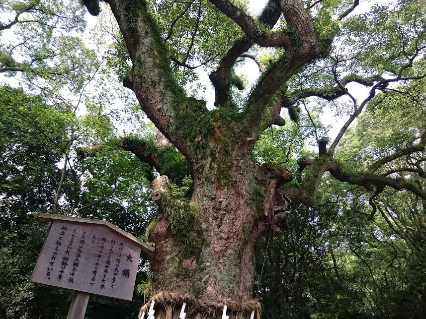 f:id:milkmooncake:20151228002306p:plain