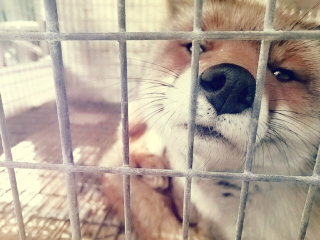 f:id:milkmooncake:20160105230855p:plain f:id:milkmooncake:20160105230855p:plain