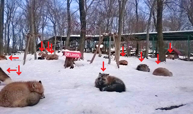 f:id:milkmooncake:20160111220652p:plain f:id:milkmooncake:20160111220652p:plain