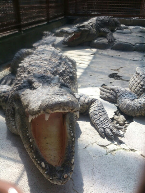 f:id:milkmooncake:20160402123444p:plain