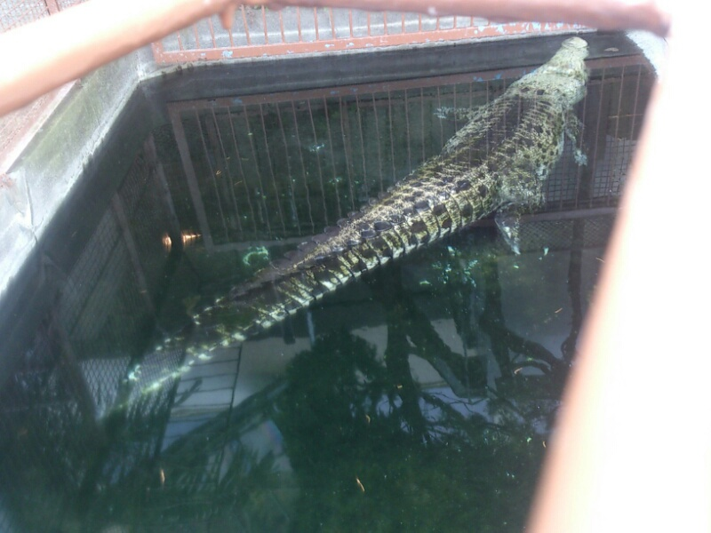 f:id:milkmooncake:20160402123526p:plain