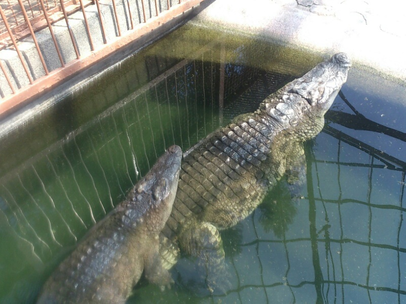 f:id:milkmooncake:20160402123549p:plain